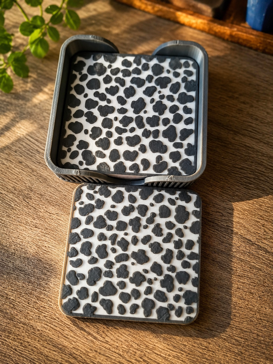 Leo Untersetzer Set